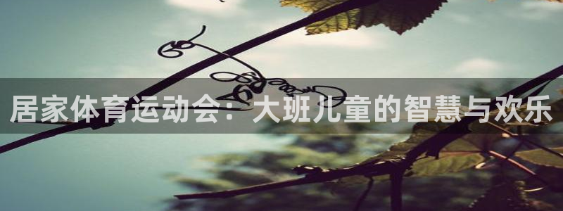 意昂33注册