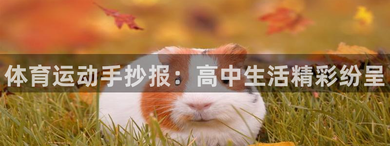 意昂3体育注册代理：体育运动手抄报：高中生活精彩纷呈