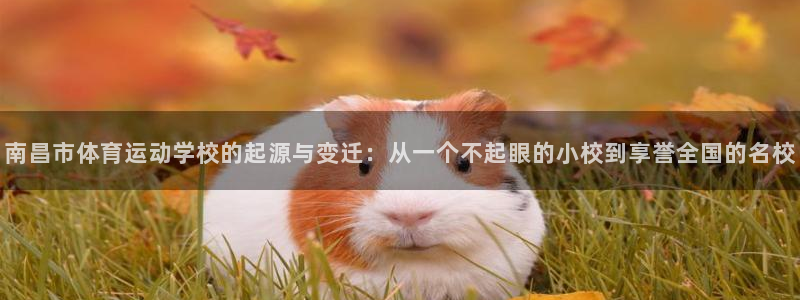 意昂官网：南昌市体育运动学校的起源与变迁：从一个不起眼的小校到享誉全国的名校