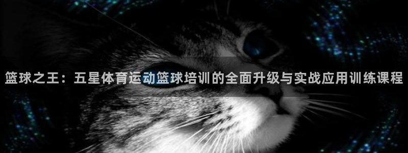 意昂3平台：篮球之王：五星体育运动篮球培训的全面升级与实战应用训练课程