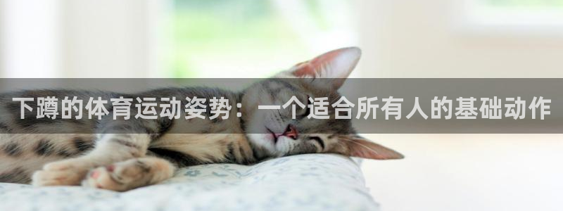 意昂体育官网