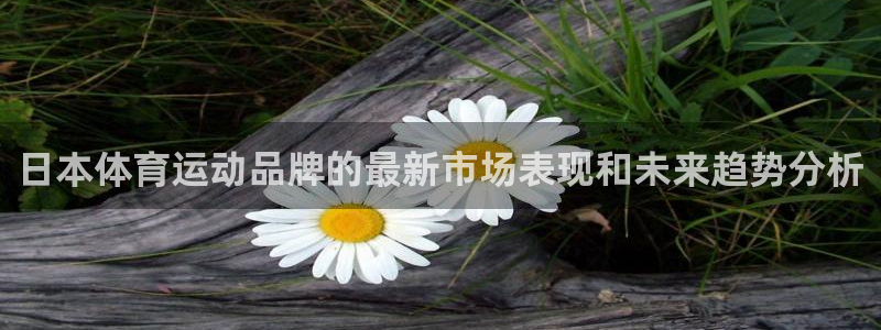 意昂3体育用品