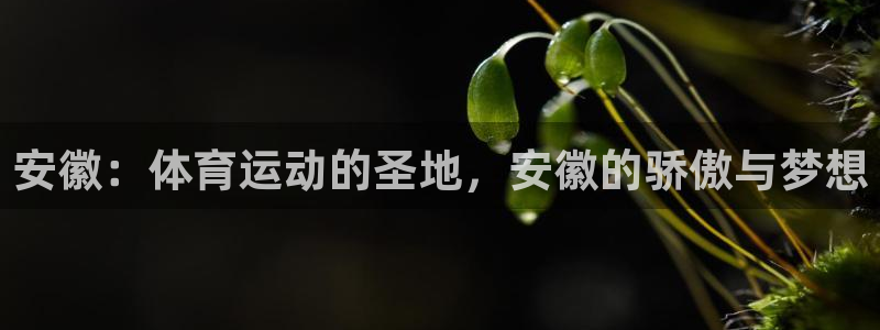 意昂3体育平台总代理