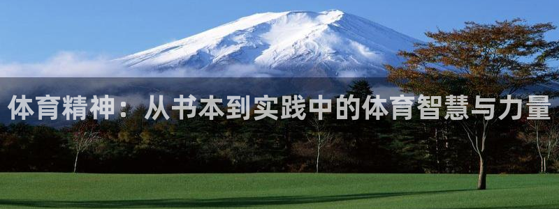 意昂3平台注册：体育精神：从书本到实践中的体育智慧与力量