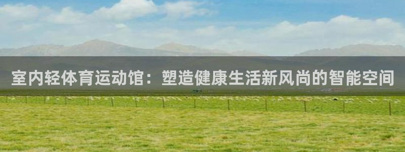 意昂33平台登录注册：室内轻体育运动馆：塑造健康生活新风尚的智能空间