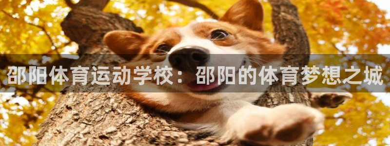 意昂3体育代理申请流程：邵阳体育运动学校：邵阳的体育梦想之城